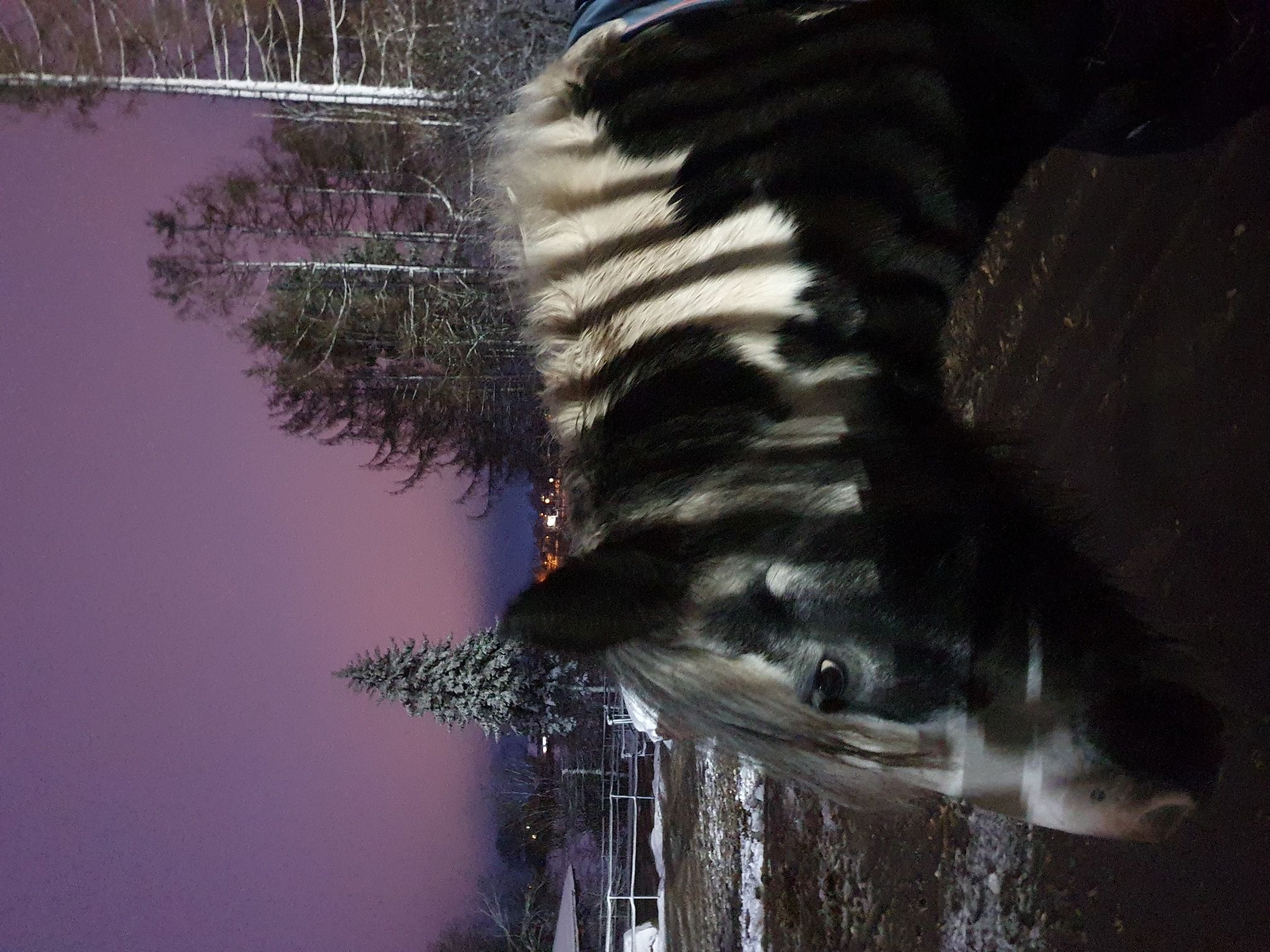 2023 11 November 615